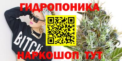 эйфоретик Бузулук