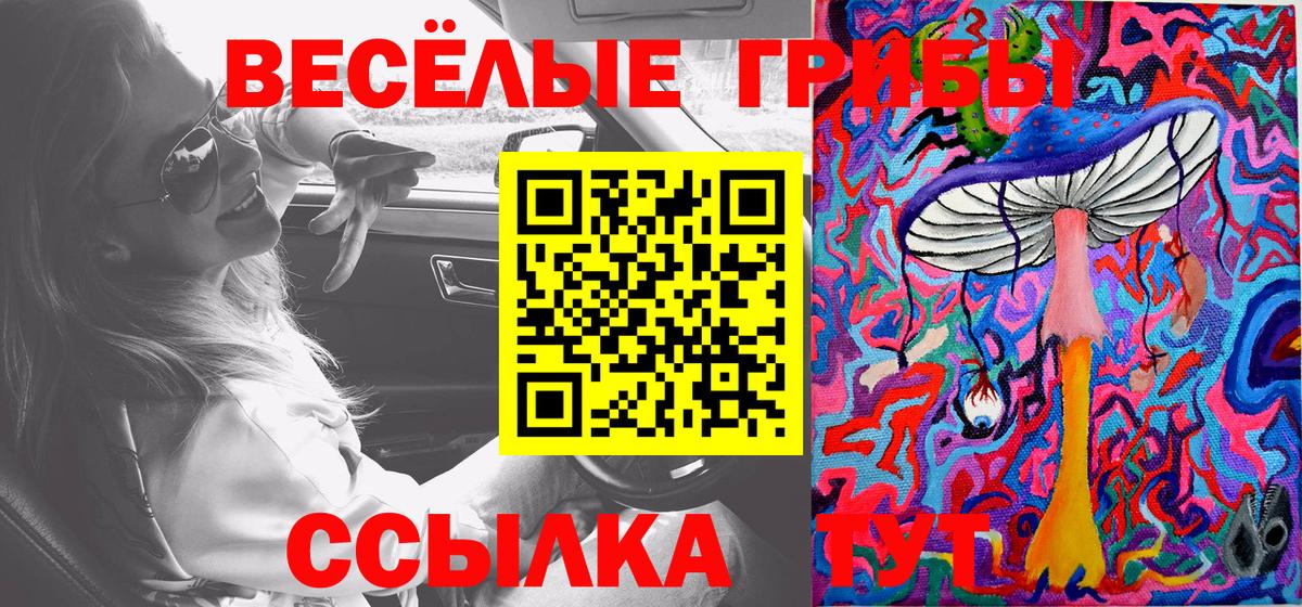 Псилоцибиновые грибы Magic Shrooms  Вход с VPN  Галлюциногенные грибы GOLDEN TEACHER  Моршанск 